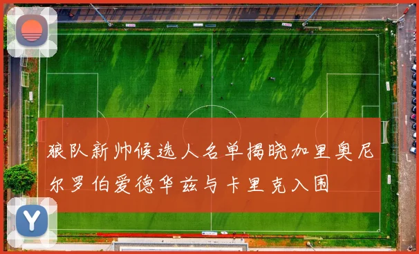 狼队新帅候选人名单揭晓加里奥尼尔罗伯爱德华兹与卡里克入围