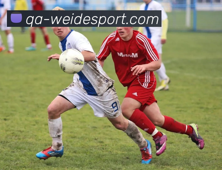 伟德体育APP 高清赛事图